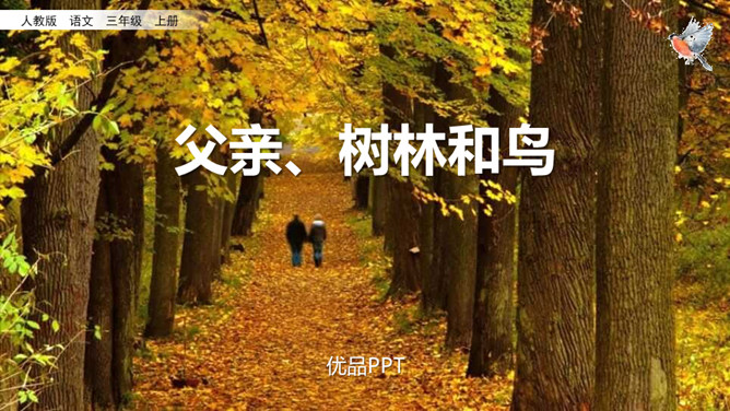 父亲树林和鸟PPT课件4