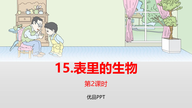 表里的生物PPT课件4
